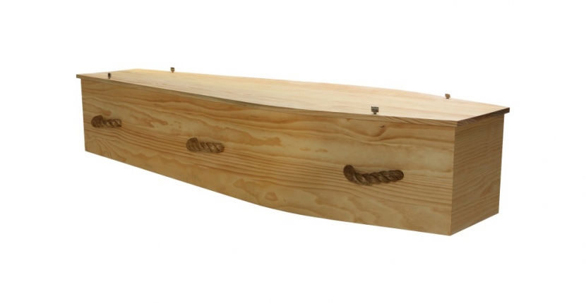 Tasman Pine